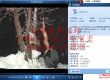 志摩紫光1-51部打包下载（43.86GB）